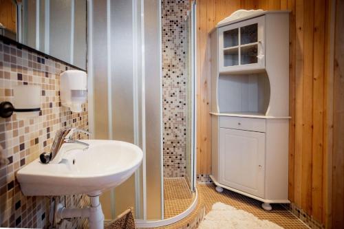 La petite salle de bains est pourvue d'un lavabo et d'une douche. dans l'établissement Nautika Central Residence, à Kuressaare
