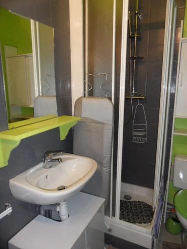 une petite salle de bain avec un lavabo et une douche dans l'établissement Joli studio Super Besse, à Besse-et-Saint-Anastaise