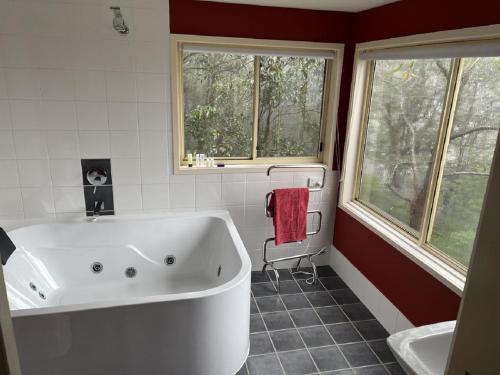 a bathroom with a large white tub and two windows at Tambaridge Bed & Breakfast in Eagle Heights