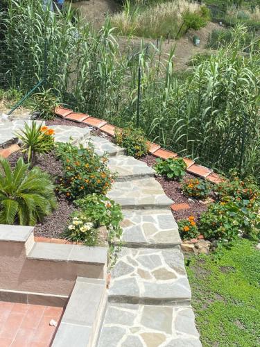 a garden with a stone path and plants at Casa Dell'Angelo Cherubino Monolocale in Castelnuovo Magra