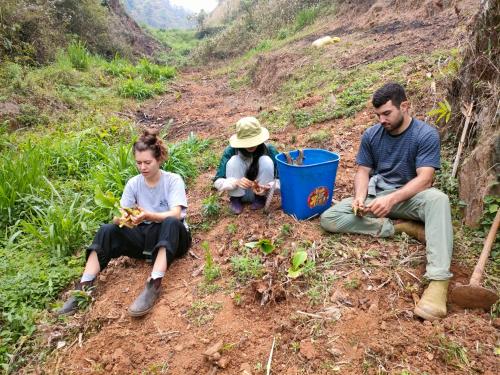 a group of three people sitting on a dirt trail at Indigenous homestay 1- Trek- Vegetarian- Bus in Yên Bái
