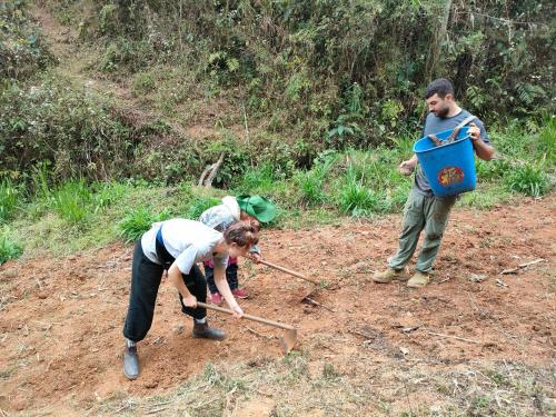 two people are working in a field with a shovel at Indigenous homestay 1- Trek- Vegetarian- Bus in Yên Bái