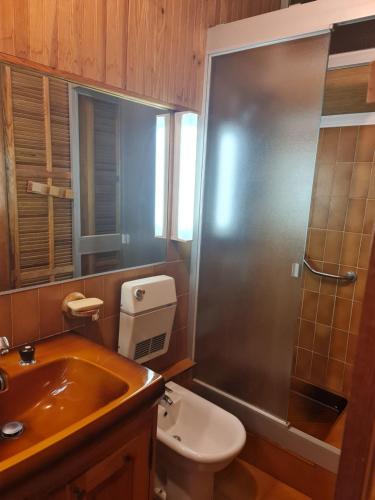 une salle de bain avec un lavabo, des toilettes et une douche dans l'établissement Maison de village, à La Brigue