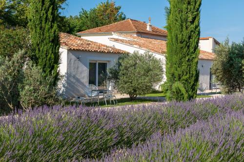 a house with a lavender field in front of it at La Bastide de Damien, 5 clefs Demeure d'Exception et Table Remarquable dans le guide Teritoria, JACUZZI Privatif, Cuisine étoilée Dominique Frérard in Aix-en-Provence