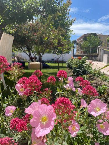 Gallery image of Rent rooms Loren in Vlorë