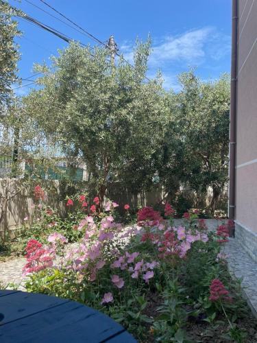 Gallery image of Rent rooms Loren in Vlorë
