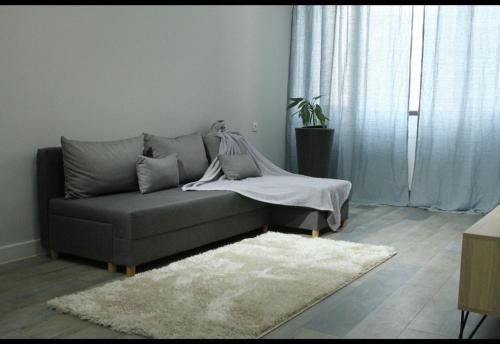 Апартаменты на Сабуртало في تبليسي: أريكة رمادية في غرفة المعيشة مع سجادة