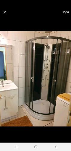 une salle de bain avec douche et lavabo dans l'établissement Appartement au cœur de la nature, à Gorze