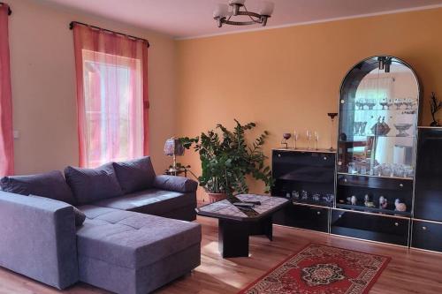 a living room with a couch and a table and a mirror at Traudis Ferienwohnung in Brunow