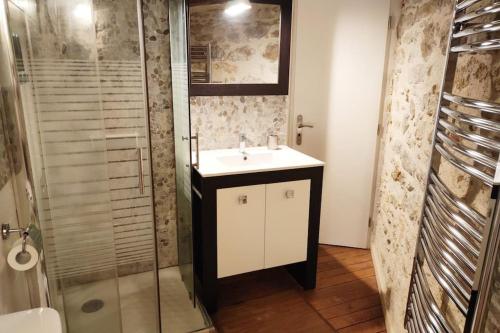 La salle de bains est pourvue d'un lavabo et d'une douche. dans l'établissement Charmant duplex en centre-ville, au Mans