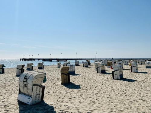 a row of chairs on a beach with a pier at Ferienwohnung "Dahme & Strandkorb" in Dahme