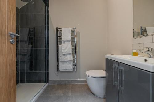 La salle de bains est pourvue d'un lavabo, de toilettes et d'une douche. dans l'établissement Waterside Apartment, à Paignton