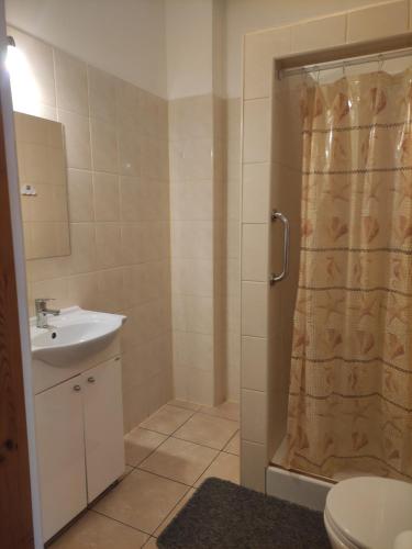 y baño con cortina de ducha y lavamanos. en Residence Park, en Bielsko-Biala