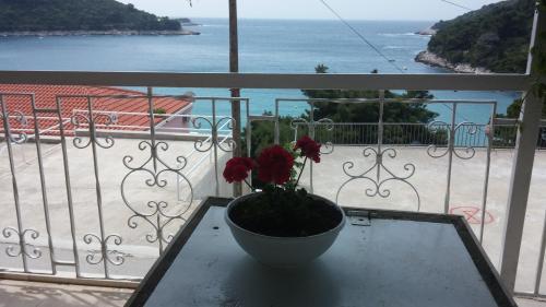 Φωτογραφία από το άλμπουμ του Apartments Pavlić σε Saplunara