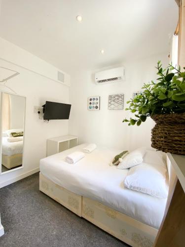 a bedroom with a bed with a potted plant at Wembar Hotel in London