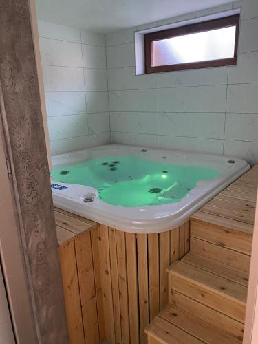 a bath tub with green water in it at FoRest apartment & spa in Zlatibor
