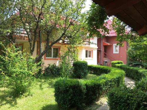 Sodas prie apgyvendinimo įstaigos Casa Didy