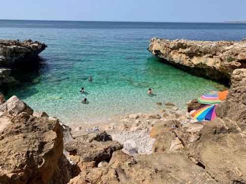 a group of people swimming in the water at a beach at L'oasi Una Pineta Sul Mare in Custonaci