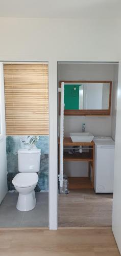 La salle de bains est pourvue de toilettes et d'un lavabo. dans l'établissement Résidence Salamandre - Maison Bois Cosy Calme avec parking pour 4 à 10 pers idéal couples et familles à 500m de la plage à Saint-Marc-sur-mer, à Saint-Nazaire