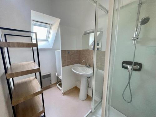 a small bathroom with a shower and a sink at Maison proche plage avec jardinet, 3 pièces, 40m², parking privé, animaux acceptés - FR-1-478-131 in Saint-Pierre-Quiberon