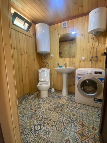 W łazience znajduje się toaleta, umywalka i pralka. w obiekcie Skupis kokhebi w mieście Mestia