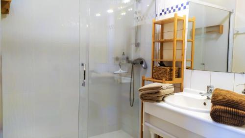uma casa de banho com um chuveiro e um lavatório. em Les Salamandres, chambres d'hôtes près de Chambord em Montlivault