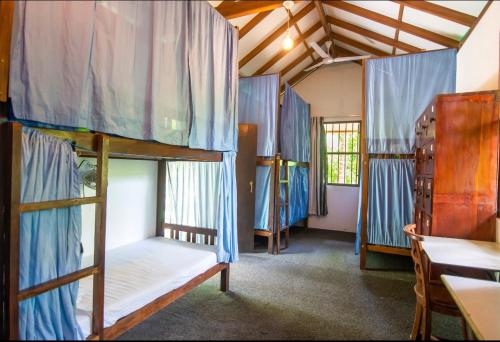 Zimmer mit 3 Etagenbetten und einem Schreibtisch in der Unterkunft Mangrove Paradise Resort & spa in Galle