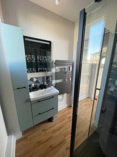 a bathroom with a sink and a mirror at l'albatros "le pont" in Cayeux-sur-Mer