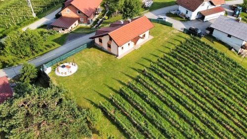 an aerial view of a house and a vineyard at Guesthouse and Wellness VINEA in Spodnji Ivanjci