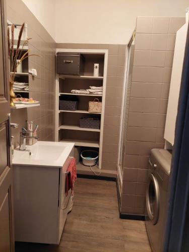 une salle de bain avec un lavabo et une machine à laver dans l'établissement Grand appartement 4 couchages la Ciotat près de tout, à La Ciotat