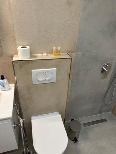 a small bathroom with a toilet and a shower at Comfort Rooms Pogradec in Pogradec