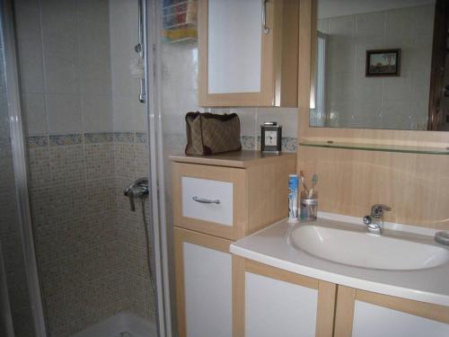 La salle de bains est pourvue d'un lavabo et d'une douche. dans l'établissement Maison Barbâtre, 3 pièces, 6 personnes - FR-1-224B-66, à Barbâtre