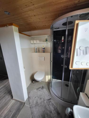a bathroom with a shower and a toilet at Das blaue Häusle in Hofe