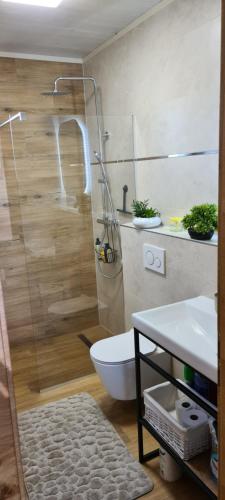 a bathroom with a shower and a toilet and a sink at Hrabusice D1 in Hrabušice