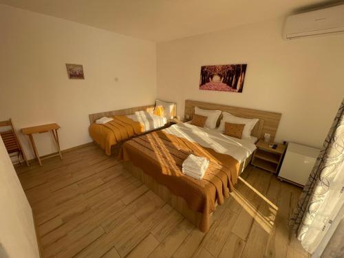 a hotel room with two beds in a room at Vila Lorena in Mangalia
