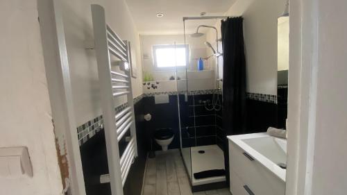 een badkamer met een douche, een toilet en een wastafel bij Le Goeland 3 ,balcon petite vue mer latérale au 3 eme étage sans ascenseur in Toulon