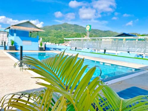 a green plant sitting next to a swimming pool at Hotel Baya Phuket - Rooftop Pool, Next to Food Market & Steps to Beach in Patong Beach