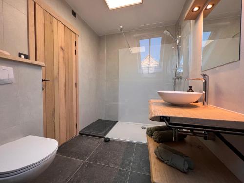a bathroom with a sink and a toilet and a shower at De Kamert in Hechtel-Eksel