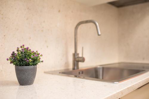 a kitchen counter with a sink and a potted plant at Apartman "ELA" in Njivice