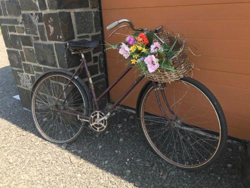 a bicycle with a basket full of flowers at The Shed. in Knockcloghrim