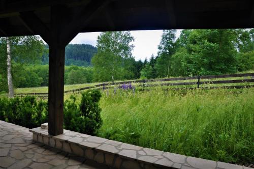 a field of tall green grass next to a fence at Chata nad Dziką Orlicą z jacuzzi in Poniatów
