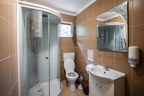 uma casa de banho com um chuveiro, um WC e um lavatório. em Casa Arcadia Buzau Monteoru em Buzau