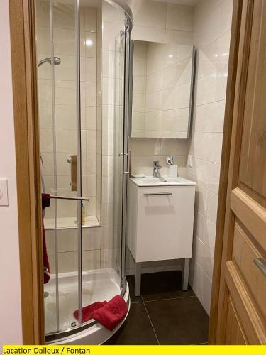 une salle de bain avec douche et lavabo dans l'établissement Appartement 2 pièces a Fontan - Vallée de la Roya à 2 pas du Mercantour - Location à la semaine - Arrivée et Départ le samedi ou le dimanche seulement, à Fontan