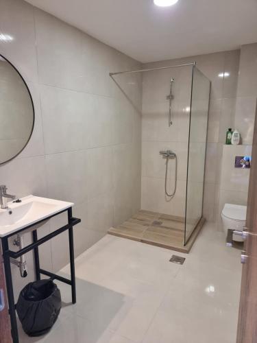 a bathroom with a shower and a sink and a toilet at Agape Rose in Herceg-Novi