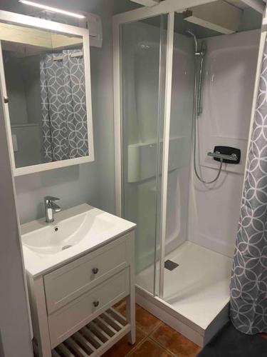 une salle de bain avec une douche et un lavabo et une douche dans l'établissement Gîte jusqu’à 4 personnes, à Arches