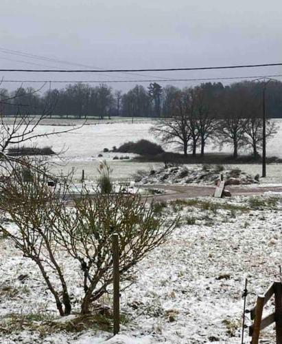 un champ enneigé avec une clôture et un arbre dans l'établissement Gîte jusqu’à 4 personnes, à Arches