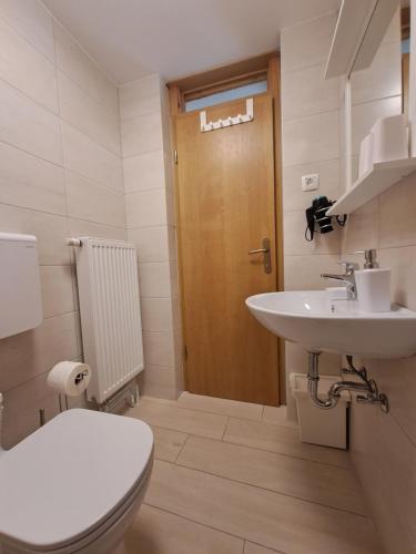 ein Bad mit einem WC und einem Waschbecken in der Unterkunft Apartments Pr'Krštano in Kranjska Gora