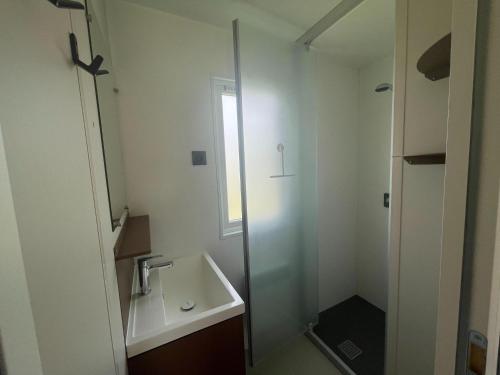 Bilik mandi di Serene chalet in Schoonloo with patio