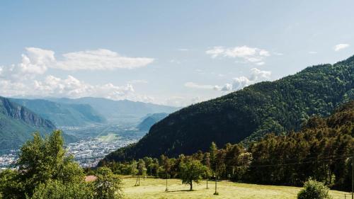 Haflingerhof – Photos 5