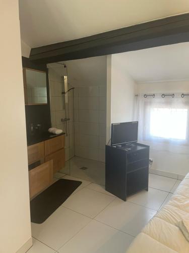 a bathroom with a shower and a sink and a mirror at Domaine Les Cascades in Ribaute